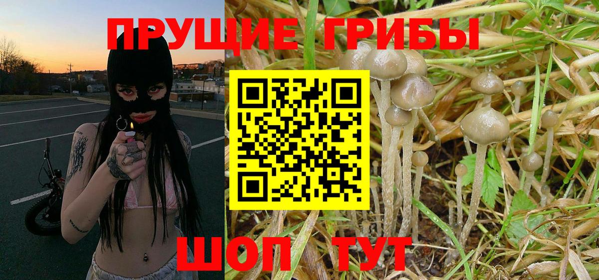 Псилоцибиновые грибы MAGIC MUSHROOMS  Галлюциногенные грибы MAGIC MUSHROOMS  Горно-Алтайск  Вход с VPN 